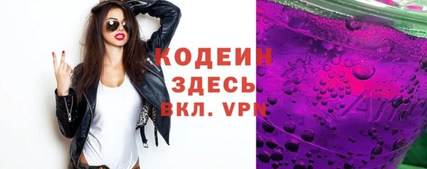 индика Заволжск