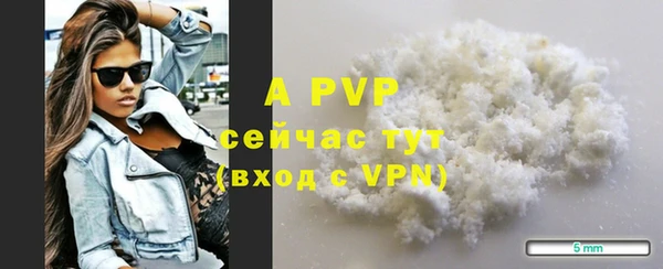 стаф Абинск