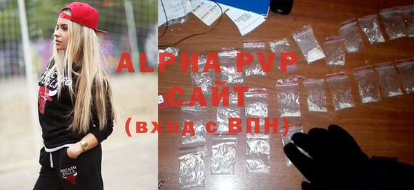стаф Абинск